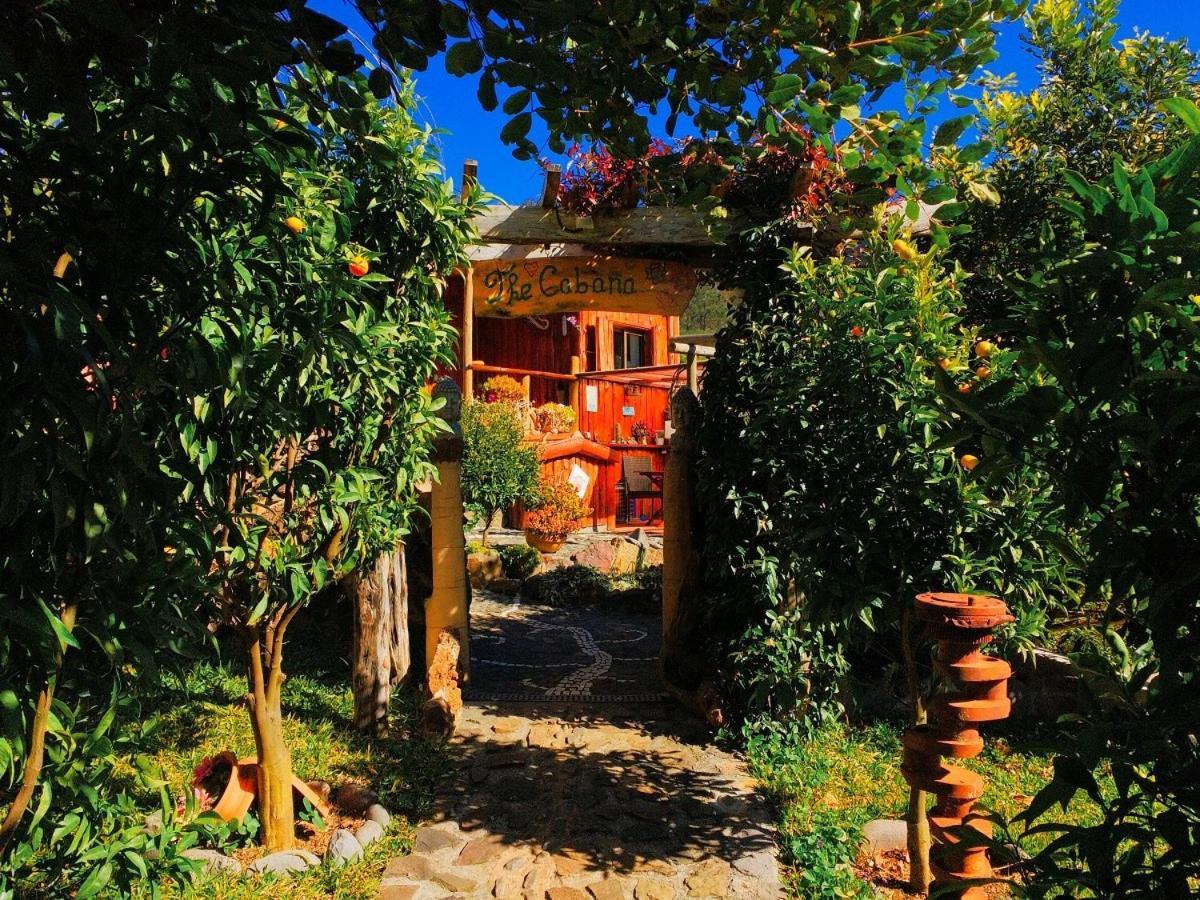 Вилла Casas Maravilha By Madeira Sun Travel Кальета Экстерьер фото